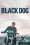 Nonton Film Black Dog (2024) Terbaru Nonton Film Black Dog (2024) Terbaru